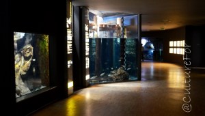 Acquario Civico @Milano_ www.culturefor.com