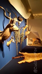 Mondi a Milano @Mudec _ www.culturefor.com