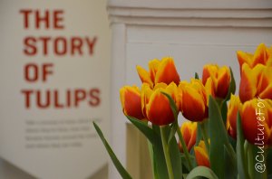 Museo dei Tulipani_www.culturefor.com