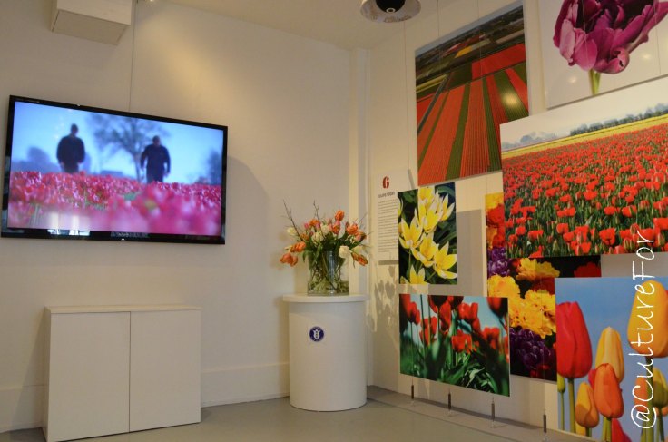 Museo dei Tulipani_www.culturefor.com