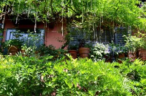 uova Darsena @Milano _ www.culturefor.com