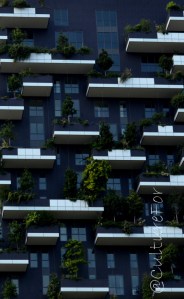 Porta Nuova @Milano _ www.culturefor.com