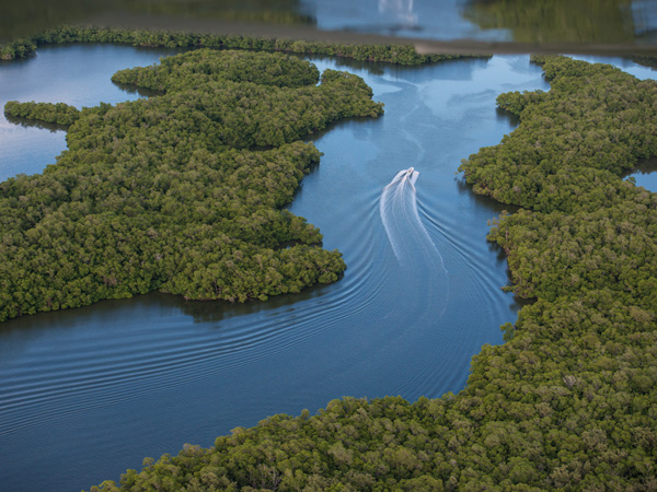 everglades-aerial-boat_91382_600x450