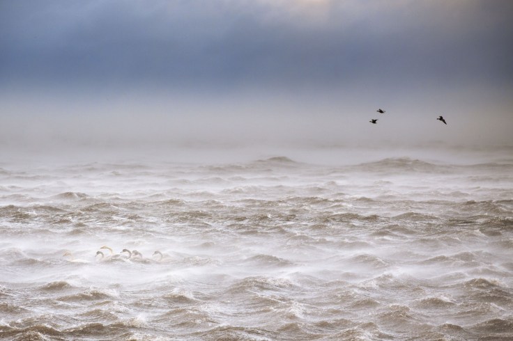 25_-vincenzo-mazza_battling-the-storm