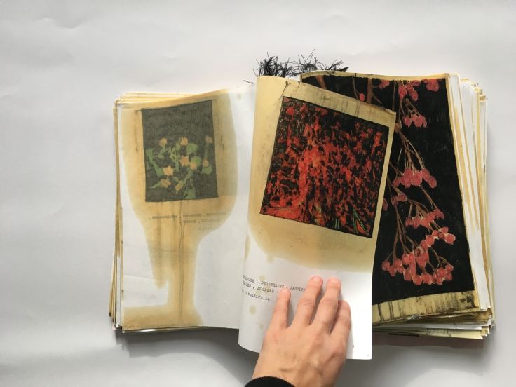 Elena Hamerski, Piante medicinali e velenose della flora italiana, libro 3